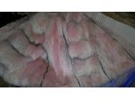pelliccia volpe rosa