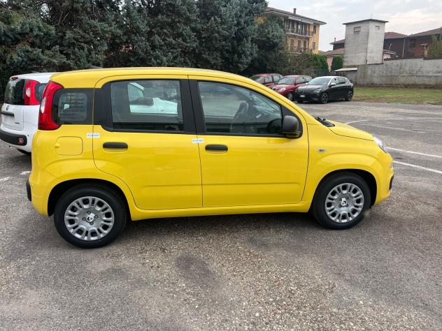 FIAT Pandina Pandina 1.0 firefly hybrid Icon s&s 65cv - Foto 6