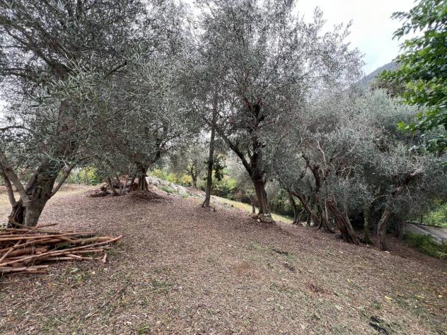 Terreno edificabile in vendita a Barbarano Mossano - Foto 2