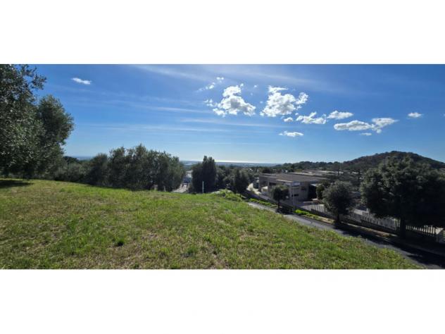 Agricolo in Viale del Lavoro - Foto 7