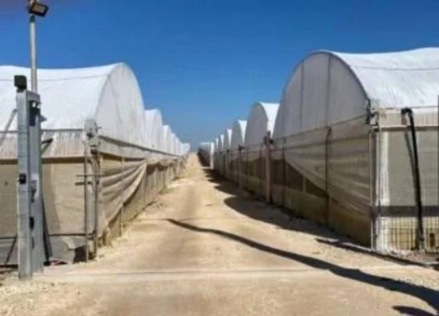 Immobile in asta di 36611 m² in vendita a Portopalo di Capo Passero - Foto 6