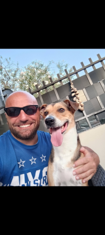 Dog Sitter