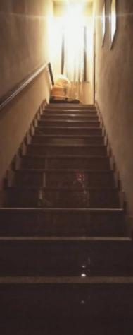 Immobile in asta di 116 m² con più di 5 locali e box auto in vendita a Palestro - Foto 8