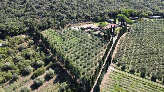 Villa in vendita a Scarlino 900 mq Rif: 1453061 - Foto 7