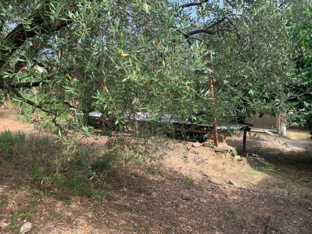 Terreno edificabile in vendita a Vado Ligure - Foto 15
