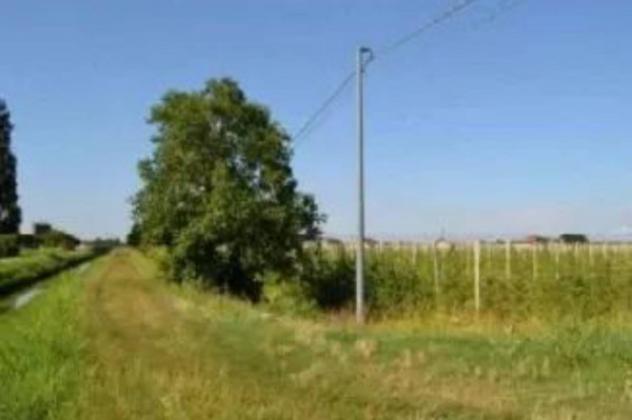 Immobile in asta di 47488 m² in vendita a Villaga - Foto 5