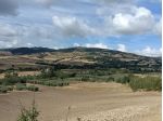 Vendo piccola Azienda Agricola
