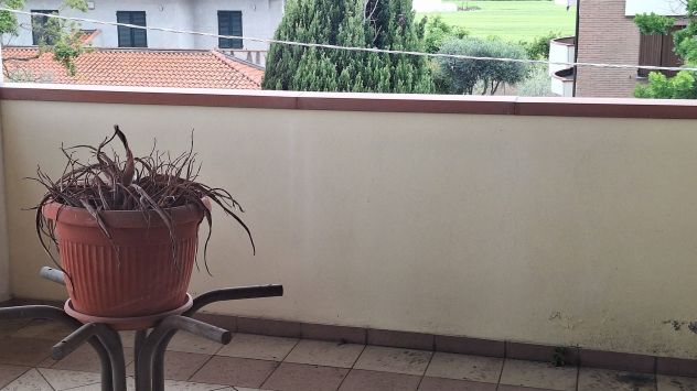 Bellaria favoloso attico come nuovo - Foto 9