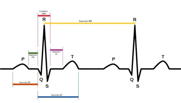 lezioni fisiologia biochimica ANALISI DATI TESI