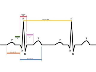 lezioni fisiologia biochimica ANALISI DATI TESI