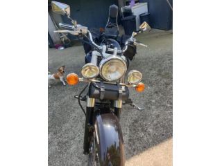YAMAHA XVS 650 DRAG STAR rif. 24054039