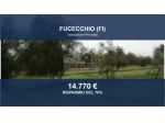 Immobile in asta di 36620 m² in vendita a Fucecchio