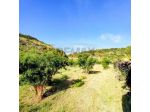 Terreno Edificabile in vendita a Pantelleria