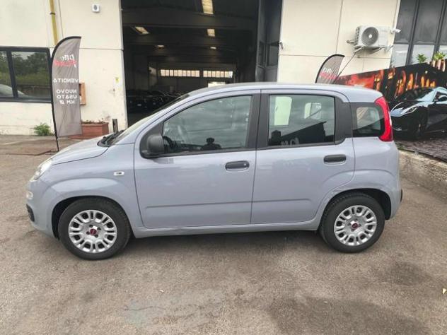 FIAT Panda 1.0 FireFly S&S Hybrid City Life rif. 23935739 - Foto 8