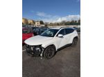 Hyundai Tucson 1.6 CRDI 48V DCT Exellence