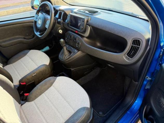 FIAT - Panda Cross - 1.0 FireFly S&S Hybrid - Foto 8