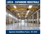 Industriale/Artigianale in vendita a Lucca