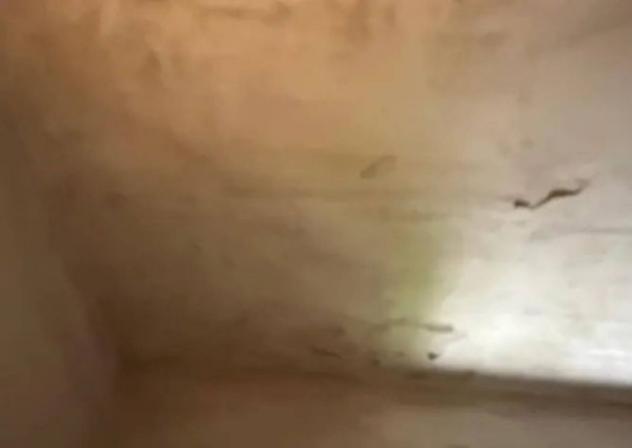 Immobile in asta di 292 m² con più di 5 locali e box auto in vendita a Pianengo - Foto 16