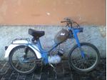 Cimatti 50