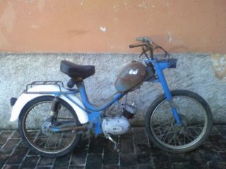 Cimatti 50