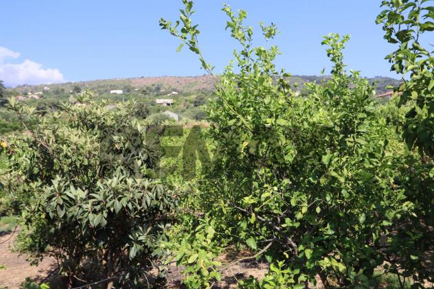 Terreno in vendita a Mascali, Santa Venera - Foto 4