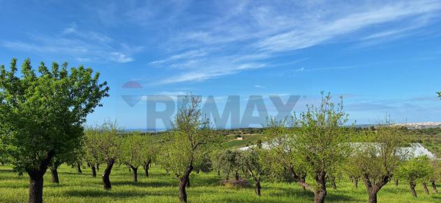 Terreno in vendita a Noto - Foto 5