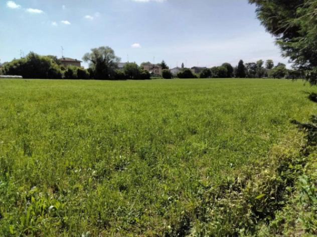 Immobile in asta di 37388 m² in vendita a Novellara - Foto 13