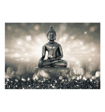 Fotomurale Adesivo Con Buddha Arredalacasa Versione Silver - Foto 2