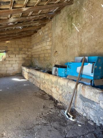 Terreno agricolo di 3 ettari a 4 km da Floridia - Foto 8