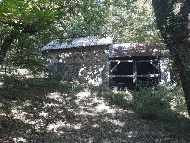Terratetto in vendita a Puglianella - Camporgiano 85 mq Rif: 1450374 - Foto 6