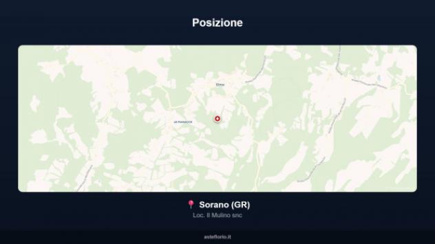 Immobile in asta di 87 m² in vendita a Sorano - Foto 11