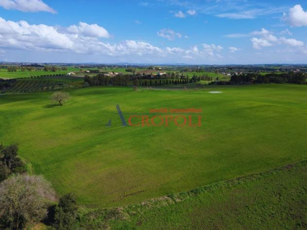 Terreno Agricolo - Rif. 2468 - Foto 8