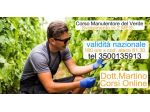 CORSO DI MANUTENTORE DEL VERDE TRAPANI ONLINE 180 ORE IN REGIONE SICILIA