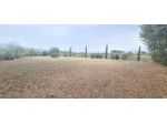 Terreno agricolo in vendita a Orentano - Castelfranco di Sotto 4200 mq  Rif &hellip;