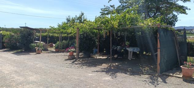 Casale in vendita a Orbetello - Foto 6