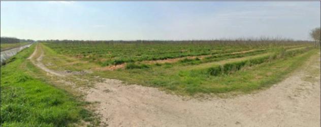 Immobile in asta di 60805 m² in vendita a Villadose - Foto 2