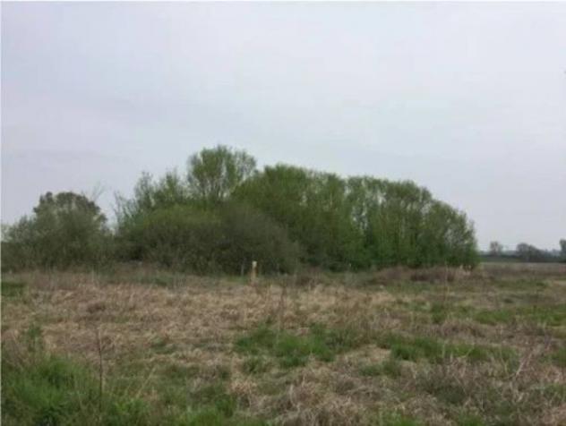 Immobile in asta di 414 m² con più di 5 locali e box auto in vendita a Chiusi - Foto 7
