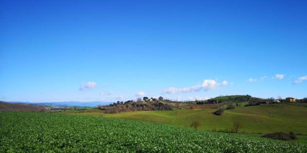 Terreno agricolo in vendita a Capalbio 500000 mq Rif: 1104323