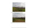 Terreno in vendita a Gioia del Colle - Rif. 4540584