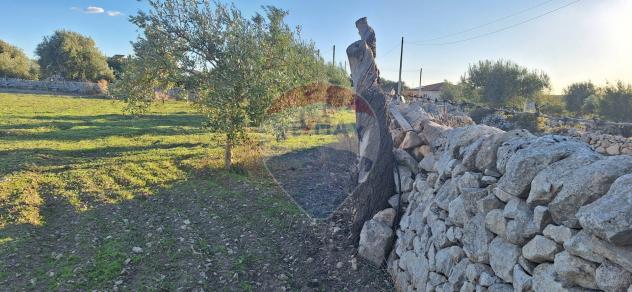 Terreno in vendita a Rosolini - Foto 13