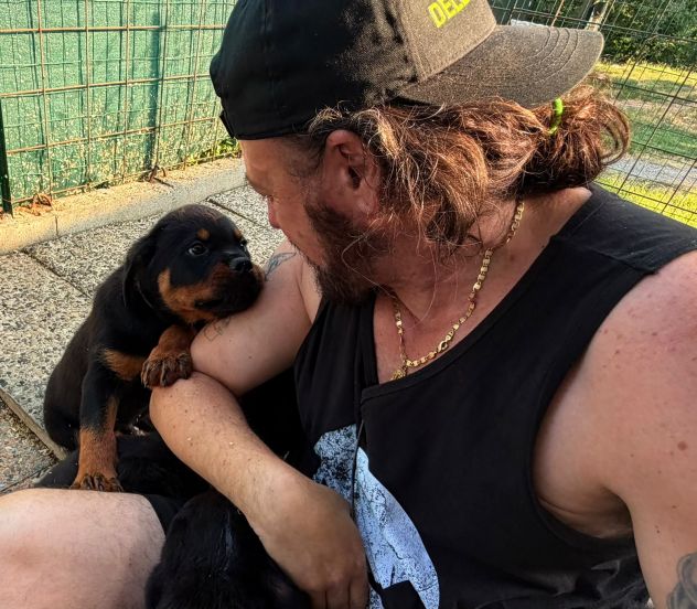 Cuccioli Rottweiler pedigree Enci pagamenti agevolati - Foto 8
