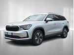 Škoda Kodiaq 2ª serie 2.0 TDI DSG 7 posti Executive