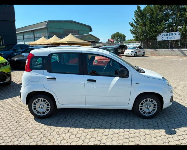 FIAT Pandina NUOVA PANDA Panda 1.0 70cv Hybrid Pop - Foto 8