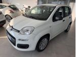 FIAT Panda 1.0 FireFly S&S Hybrid rif. 24013815