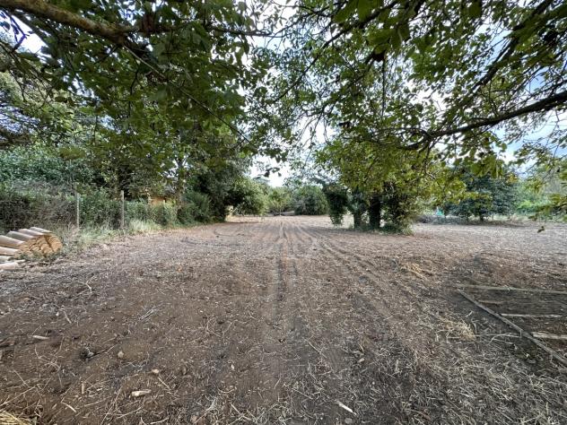 Magazzino in vendita a Borgia - Foto 5