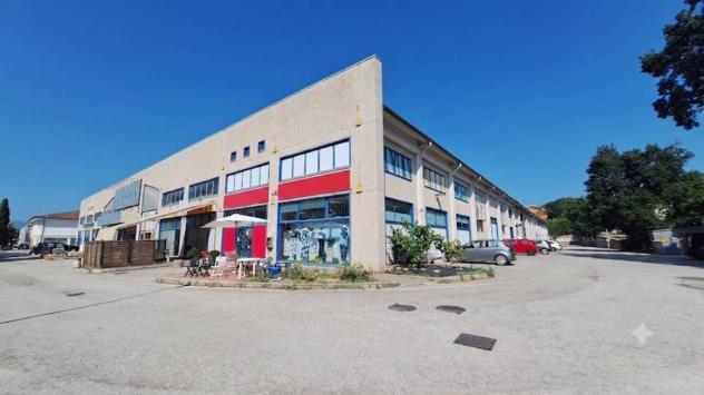 Fossombrone-eccezionale opportunità commerciale e artigianale,fronte strada flaminia.
proponiamo in vendita un ampio e versatile locale artigianale di - Foto 4