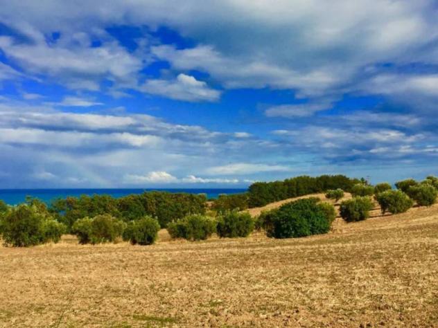 Agricolo in vendita a Cupra Marittima - Foto 5