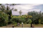 Terreno agricolo in vendita a Livorno 1300 mq  Rif: 1275873