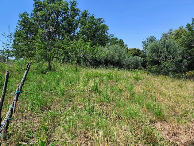 Agricolo in Contrada San Vincenzo - Foto 12