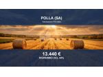 Immobile in asta di 367 m² in vendita a Polla